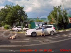 Разъярённый ребёнок бросился на машину: в Армавире водитель сбил идущую с детьми женщину