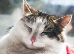 Последнее воскресенье июня обещает быть жарким