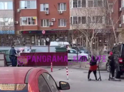 В Краснодаре дети забросали камнями бездомного