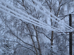  Из-за обильного мокрого снега на Кубани объявили экстренное предупреждение 