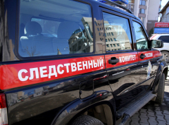 Краснодарская няня, обвиняемая в убийстве 9-месячного ребенка гражданки Нигерии, путается в показаниях