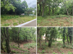 На благоустройство нового экопарка в Краснодарском крае потратят 122 млн рублей