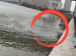 Слив нечистот в Кубань попал на видео