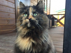 Рабочая неделя на Кубани завершится теплой погодой