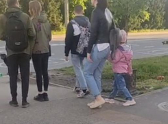 В Юбилейном микрорайоне Краснодара собака укусила 10-летнюю девочку 