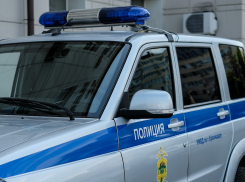 В Краснодаре задержали подозреваемого в грабеже алкоголя из магазина 