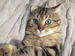 Тепло, как летом: погода на Кубани 12 октября порадует