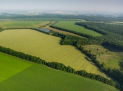 Россиянам предложено осваивать Дальний Восток