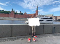 Марину Овсянникову объявили в федеральный розыск