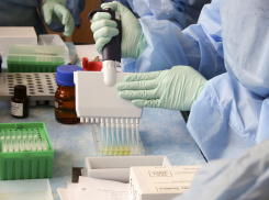 Краснодарский край занял первое место в России по смертности от COVID-19 за сутки