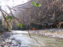 В районе Сочи в лесу заблудилась местная жительница