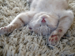 Потепление до 14 градусов и слабый дождь ожидаются на Кубани в пятницу