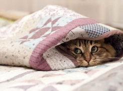 Температура воздуха на Кубани ушла в резкий минус