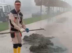 «Затопило»: зловонная жидкость растеклась по улице вблизи парка «Краснодар»