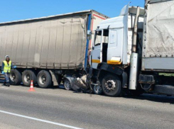 Фуры раздавили легковушку с тремя детьми на трассе в Краснодарском крае