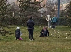 В Краснодаре раскритиковали поведение посетителей парка Галицкого