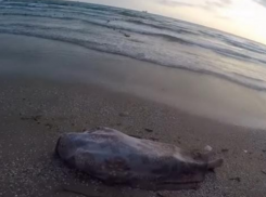  На берегу анапского пляжа туристы нашли утопленника 