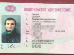 Один из напавших на полицейских в центре Краснодара был судим