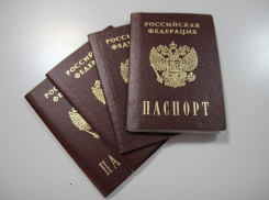 Стать гражданином РФ в Сочи мог каждый