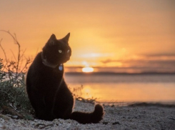 В Краснодаре будет теплое и безветренное воскресенье