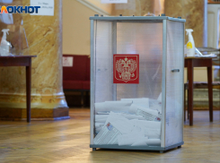 «Одна из причин – явка»: краснодарский эксперт о досрочном закрытии избирательных участков в ДНР