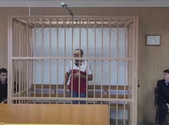 Обвиняемого в жестоком убийстве 12-летней девочки заключили под стражу в Краснодарском крае