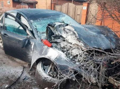 В Краснодаре иномарка снесла столб и дерево 