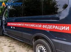 В Краснодарском крае семилетняя девочка выронила в окно пятимесячную сестру