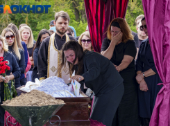 В Краснодарском крае потребовали смертной казни убийцам аниматоров