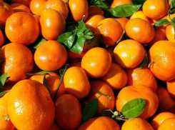  Житель Калининграда украл в Новороссийске 70 тонн мандаринов 