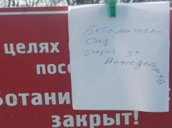 Ботанический сад Краснодара закрыли для посещения