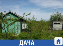 В станице Васюринской продается дачный участок