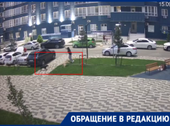 Свора агрессивных собак оккупировала ЖК в Краснодаре и держит людей в страхе 
