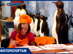 Все в шоколаде: выставка сладостей открылась в Краснодаре
