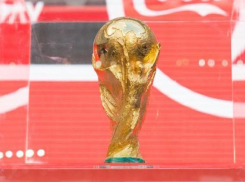 До старта чемпионата мира по футболу в Сочи осталось 100 дней