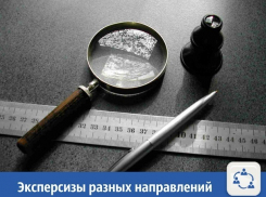 Помощь в проведении судебных экспертиз предлагают в Краснодаре