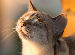 Предстоящий понедельник в Краснодаре будет теплым и солнечным