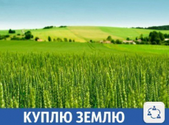 Фермер хочет купить землю в Гулькевичском районе