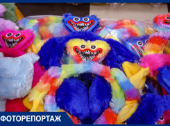 В Краснодаре массово распродают на Вишняках опасных Хаги Ваги