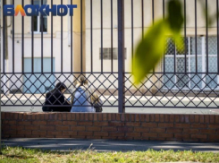 В Краснодарском крае со школ собирают личные данные детей и их родителей