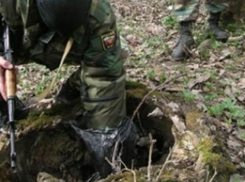 Под Анапой в лесополосе нашли 10 килограмм взрывчатки