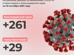 На Кубани за сутки жертвами коронавируса стали 261 человек