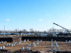 Новую школу на 1550 мест начали строить в поселке Плодородном в Краснодаре
