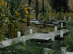 Резкий скачок температуры ожидается в Краснодаре