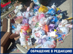 Крысы, тараканы и неимоверная вонь: полная антисанитария царит в жилом районе Краснодара 