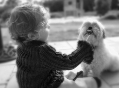 В Краснодаре детей с синдромом Дауна познакомили с бездомными животными