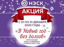 «В Новый год — без долгов!»: акция от «АО «НЭСК»