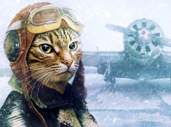 В День защитника Отечества на Кубани защищайтесь зонтом от дождя