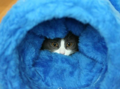  Экстренное предупреждение: на Кубани пройдут сильные дожди 