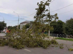 Непогода обесточила троллейбусы в Краснодаре